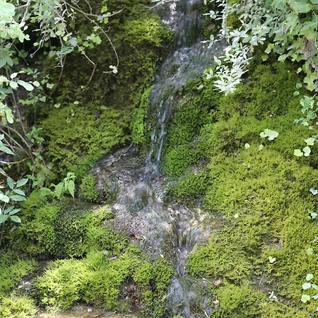 Hotel L Eau Vive *